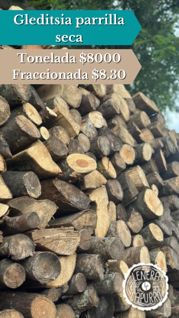 Gleditsia Parrilla Gleditsia Parrilla