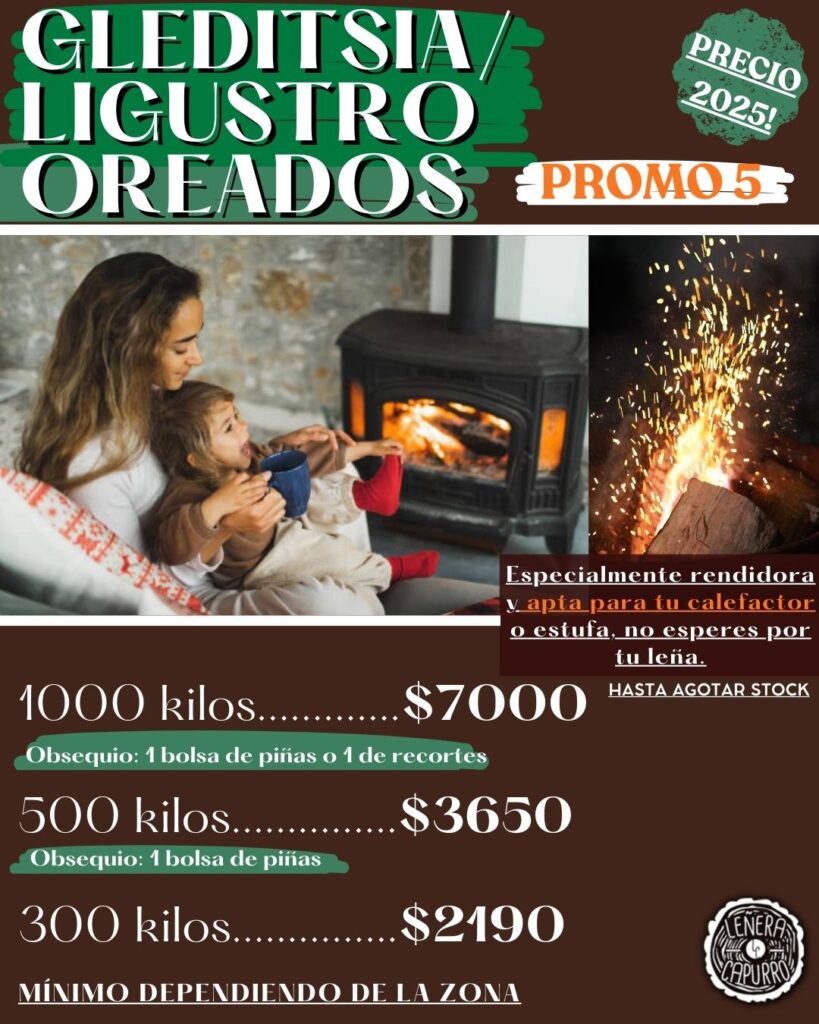 PROMO 5 GLEDITSIA/ LIGUSTRO OREADA PROMO 5 GLEDITSIA/ LIGUSTRO OREADA