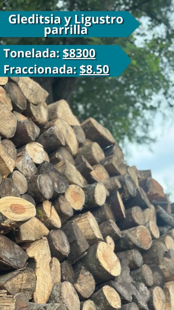 Gleditsia y Ligustro parrilla