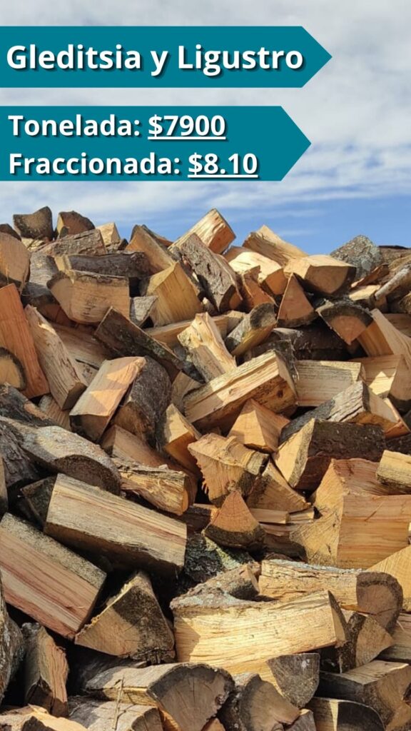 Gleditsia y Ligustro secos