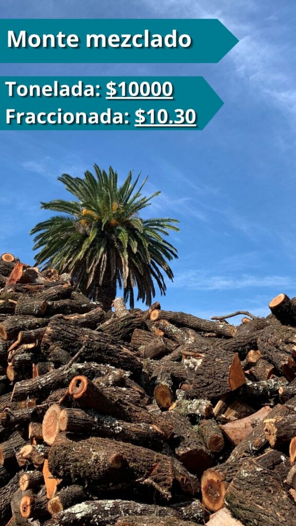Monte Mezclado parrilla