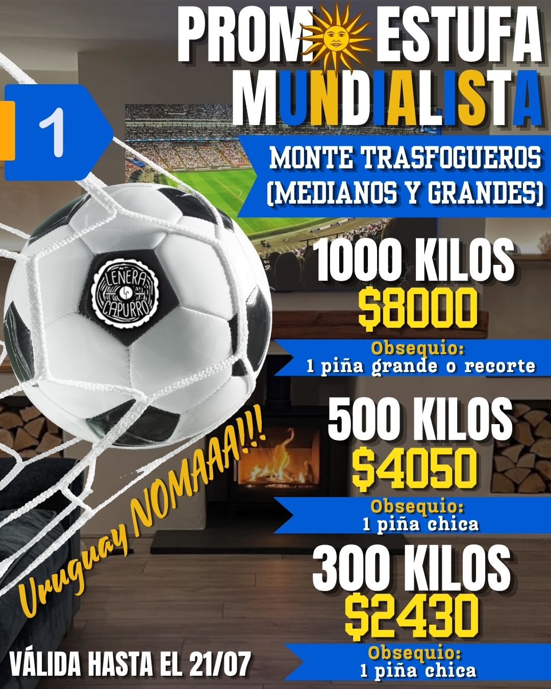 PROMO ESTUFA MUNDIAL