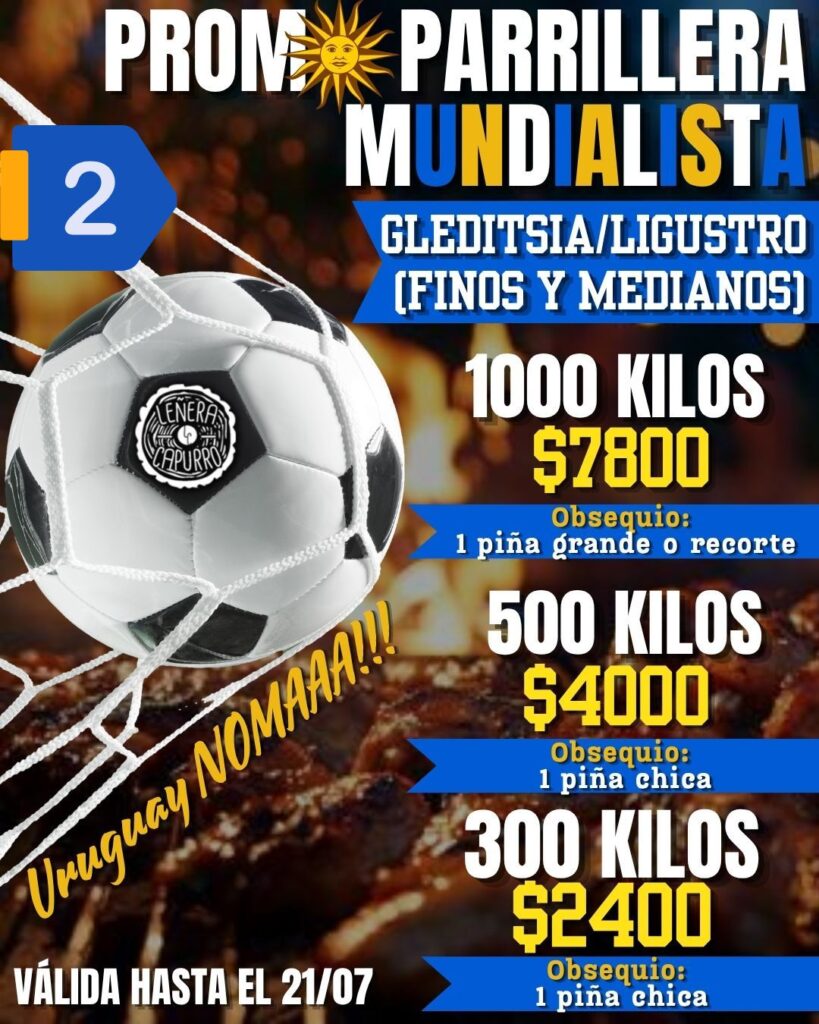 PROMO PARRILLA MUNDIAL