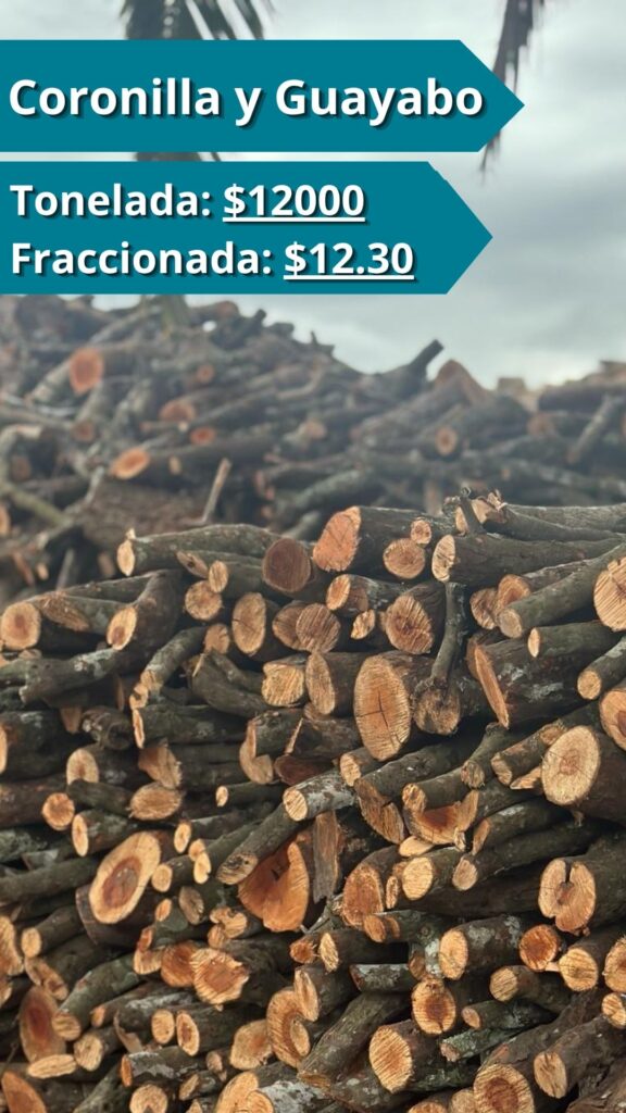 Coronilla y Guayabo Coronilla y Guayabo
